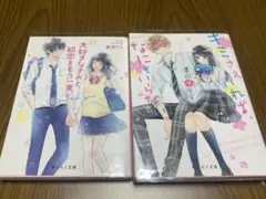 野いちご文庫2冊セット