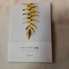 Item thumbnail for item 26ed3449-8c91-4cf8-bc4c-36458d6cc900