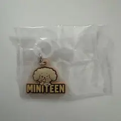 MINITEEN ミニティーン　ガチャ　DK ドア