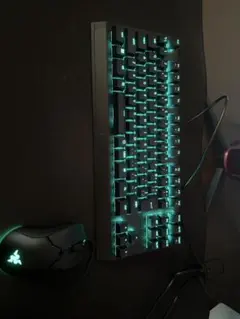 Razer BlackWidow V3 Tenkeyless