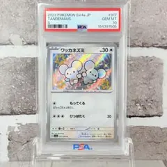 ワッカネズミS.イッカネズミS 8枚セット！色違い進化ライン sv4a