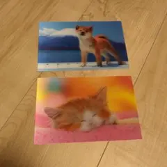 イヌ、ネコの3Dポストカードセット