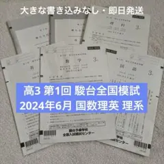 2026年最新】駿台全国模試 2024 高3の人気アイテム - メルカリ