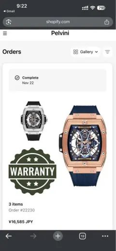 Pelvini watch for men