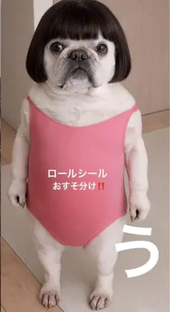 ロールシール切り売りおすそ分け‼️ 数量限定‼️ゆっくり出品させて頂きます。