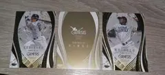 ジェネシス ホークス