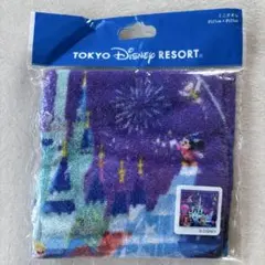 【新品未使用】東京ディズニーリゾート イッツアスモールワールド ミニタオル