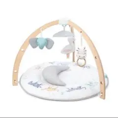 中古 aden + anais activity gym ベビージム