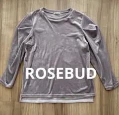 Item thumbnail for item 1ddbc4c1-b3b3-4613-8877-d370a3278456