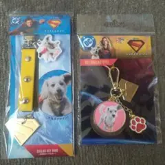 スーパーガール DC クリプト キーホルダーセットのサムネイル