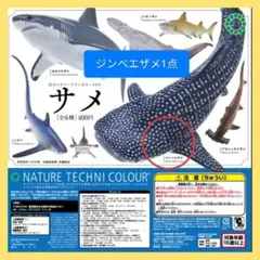 2025年最新】ネイチャーテクニカラー ジンベエザメの人気アイテム