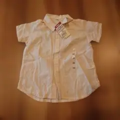 Item thumbnail for item 945cf0f1-44e6-44db-a29e-aa898c4c0e8b