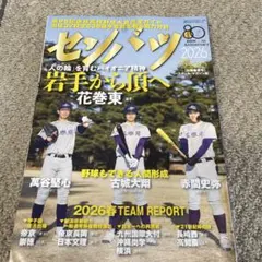 Item thumbnail for item 8eeaebac-2a3d-4cba-adfa-252854fedcb6