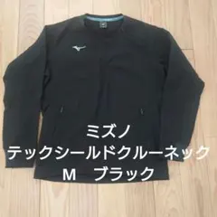 Item thumbnail for item ff04261a-3966-4f96-aed2-4ebbd0487eda