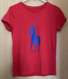 POLO RALPH LAUREN 半袖 プリントTシャツ レッド S