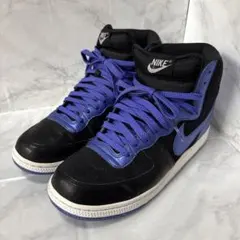 y091520 NIKE ターミネーター ハイ 336609-051 27.5