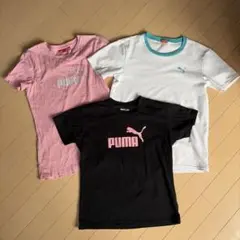 PUMA プーマ　Tシャツ3点セット　Mサイズ
