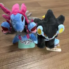 Ｓ*)様 Pokemon fit サザンドラ　レントラー　タグ付き