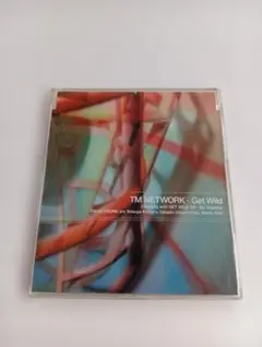 【シングルCD】TM NETWORK / Get Wild