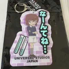 ユニバーサルスタジオジャパン 名探偵コナン コレクタブルキーチェーン 灰原哀