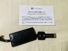 値下❗️新品CROSS USBメモリ キー型 レザーケース付きのサムネイル