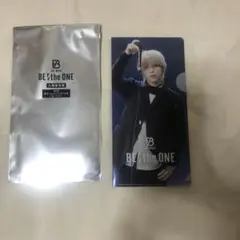 Item thumbnail for item 2739e642-626f-42a3-9ef7-a03bd1c9654e