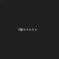アッチェ N アセチルグルコサミン水素サプリメント - メルカリ