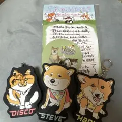 2025年最新】柴犬スティーブの人気アイテム - メルカリ