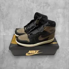 Nike Air Jordan 1 Retro High OG Palomino