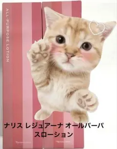 12月新入荷特価❗️ナリス レジュアーナ オールパーパスローション180ml*1本