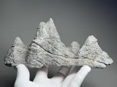 北海道石 56×31×22mm - メルカリ