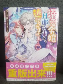 guuguu様 リクエスト 2点 まとめ商品