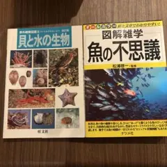 貝と水の生物 図鑑 生態 - メルカリ