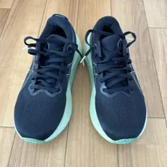 Item thumbnail for item 75e7935c-f61c-4d4e-a515-26e3f7ec6563