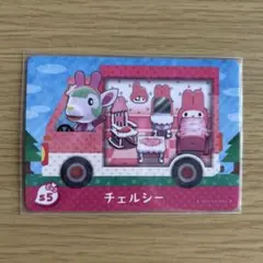 Na Ri様　チェルシー　ミッチェル