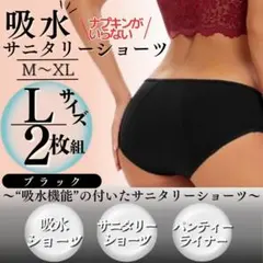L 2枚組 サニタリー 下着 吸水ショーツ 黒 吸水 生理 パンツ 尿もれ 夜用のサムネイル