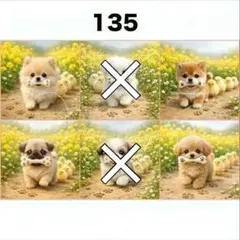 【135】りんご様パネル