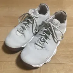 NIKE ハイパーダンク2017 ロー バッシュ 27.5センチのサムネイル