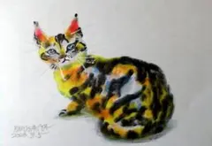 木原千春5分間ドローイング/CATエスキース4 - メルカリ