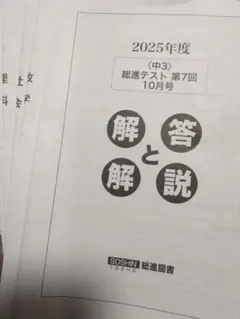 2025年最新】総進テストの人気アイテム - メルカリ