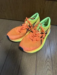 Item thumbnail for item 6a5d00d9-056a-49cd-b528-ac348a7d4775