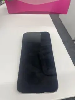 Apple iPhone 13 グリーン