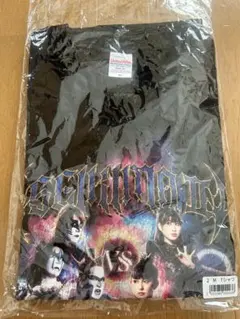 Item thumbnail for item eba93bae-c0b4-4c3c-a089-0229d2387348