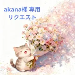akana様 リクエスト 2点 まとめ商品（4/15予定