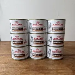 ロイヤルカナン　ROYAL CANIN 消化器サポート低脂肪　200g × 9缶