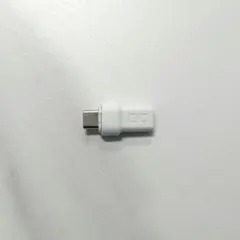 CIO マグネット変換アダプタ USB-C to USB-C I字　ホワイト