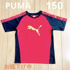 ＊プーマＴシャツ＊150センチ　お値下げ中