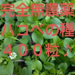 Tabby様 リクエスト 4点 まとめ商品