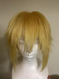 卯月コウ コスプレ ウィッグ - メルカリ