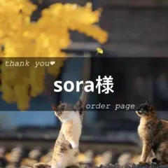 sora様オーダーページ　9月末頃